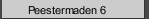 Peestermaden 6